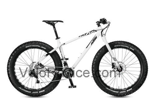 KTM Fat Flea scheda tecnica e recensioni
